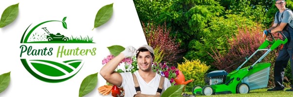 BVS Digital Portfolio - Plants Hunters