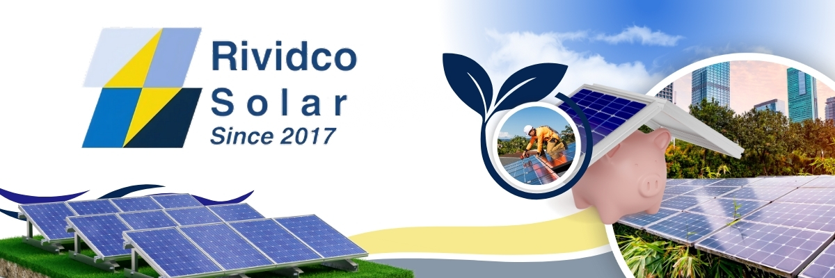 BVS Digital Portfolio - Rividco